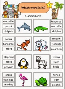 Ideenreise - Blog | Zoo animals